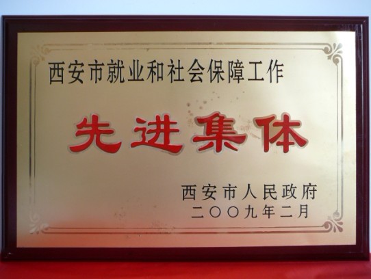 2009年2月，被西安市政府評為西安市就業(yè)和社會保障工作先進集體